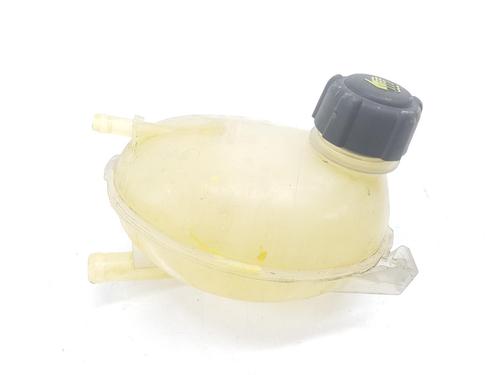 Used Expansion tank DACIA SANDERO II TCe 90 (B8M1, B8MA, B8AC) (90 hp) 10965262