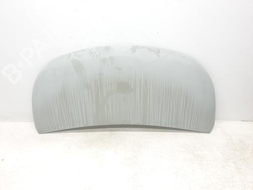 Used Hood RENAULT TRAFIC III Van (FG_) 1.6 dCi 140 (FGMA, FGMC) (140 hp) 30274960