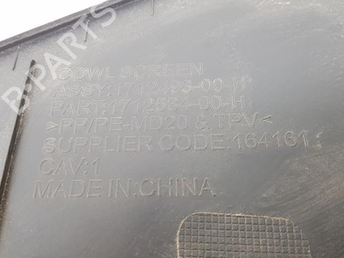 Torpedoplade TESLA MODEL 3 (5YJ3) | BP38445310C110 - Image 5