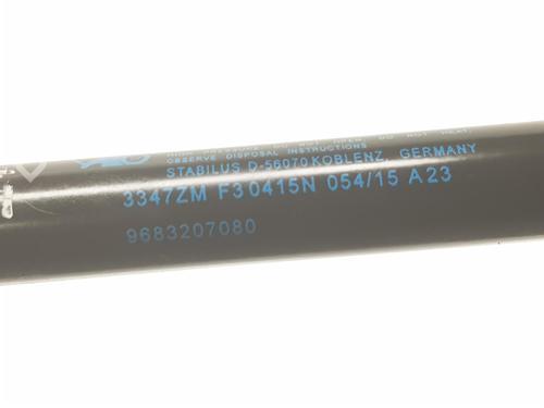 Tailgate lift support PEUGEOT 3008 I MPV (0U_) 1.6 HDi 115 / BlueHDi 115 | BP16119664C138 