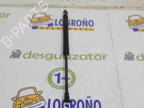Hood lift support BMW 1 (E87) 118 d | BP14120685C139 