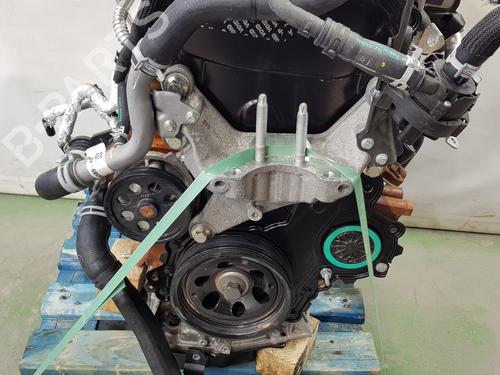 Engine FORD TRANSIT V363 Platform/Chassis (FED, FFD) 2.0 EcoBlue | BP31593823M1