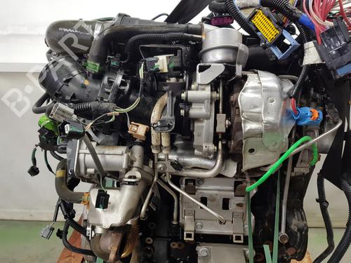 Engine NISSAN NV300 Van (X82)  | BP32328442M1 