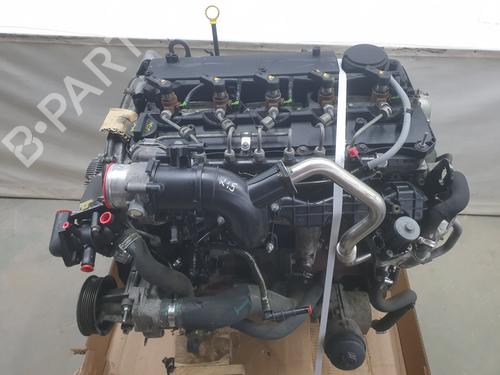 Used Engine FORD RANGER (TKE) 3.2 TDCi 4x4 (200 hp) 32679378