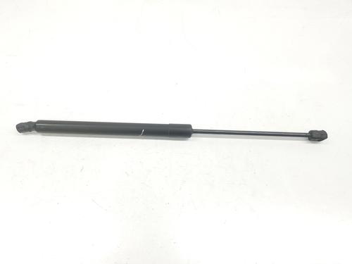 Tailgate lift support AUDI Q7 (4LB) 4.2 TDI quattro | BP14098391C138 