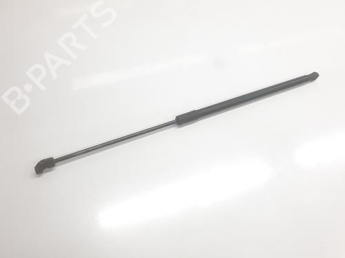 tailgate-lift-support-dacia-duster-pym_-pyn_-2023-34354026 main image