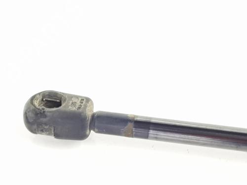 Tailgate lift support LAND ROVER RANGE ROVER SPORT I (L320) 2.7 D 4x4 | BP27475157C138 