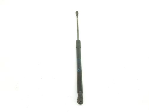Tailgate lift support BMW 1 (E87) 118 d | BP14093489C138 
