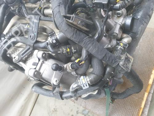 Engine SEAT TOLEDO IV (KG3) 1.6 TDI | BP32118398M1 