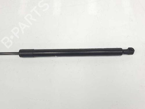 Other DACIA LODGY (JS_) 1.2 TCe (JSAY, JSM0) | BP14083022O1 
