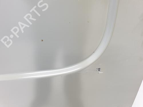 Right rear door RENAULT TRAFIC III Van (FG_)  | BP21004067C5