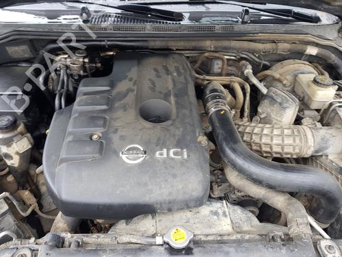 Front differential NISSAN PATHFINDER III (R51)  | BP25851794M23 