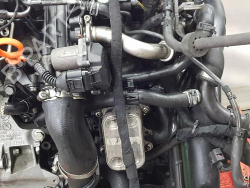 Engine SKODA SUPERB II Estate (3T5)  | BP28061170M1 