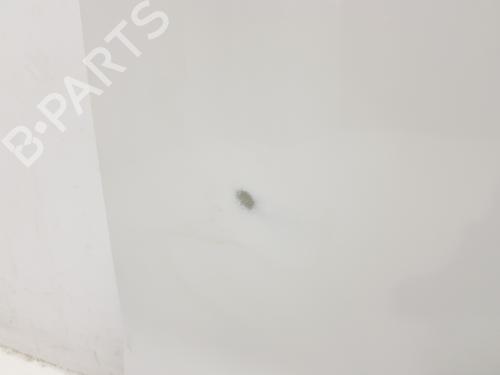 Left rear door RENAULT TRAFIC III Van (FG_) 1.6 dCi 90 (FGME) | BP16198290C4