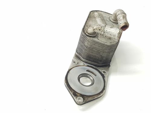 Oil radiator FORD TRANSIT V363 Van (FCD, FDD) 2.0 EcoBlue | BP30787083M33 