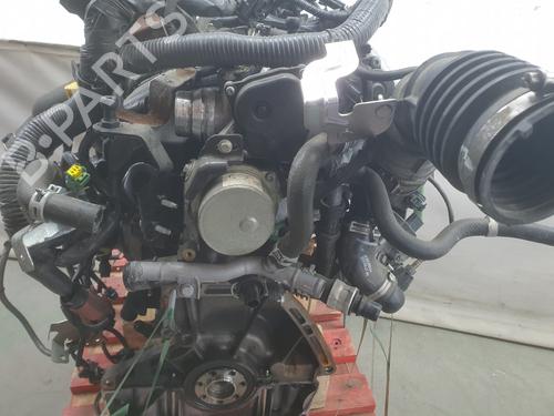 Engine NISSAN QASHQAI II (J11, J11_)  | BP29813926M1 