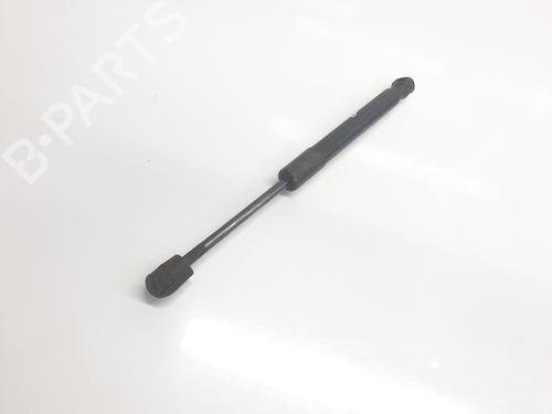 Hood lift support BMW X3 (F25) xDrive 20 d | BP22191075C139 