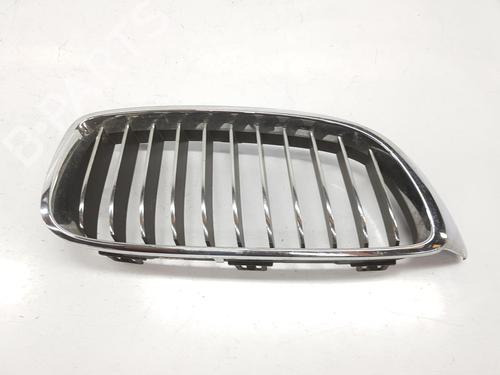 Gitter für BMW 4 Coupe (F32, F82) 420 d (184 hp) 13394729