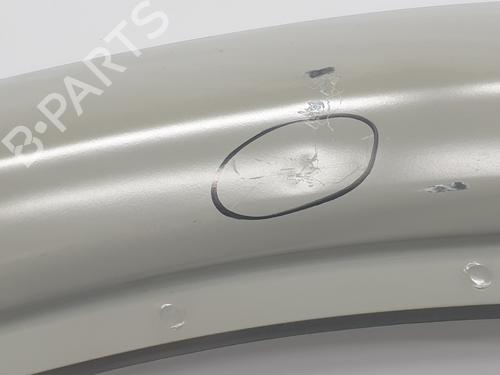 Left front door RENAULT TRAFIC III Van (FG_) 1.6 dCi 140 (FGMA, FGMC) | BP29906948C2