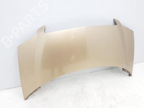 Hood LANCIA PHEDRA (179_) 2.2 JTD (179AXC1A) | BP13377397C1 