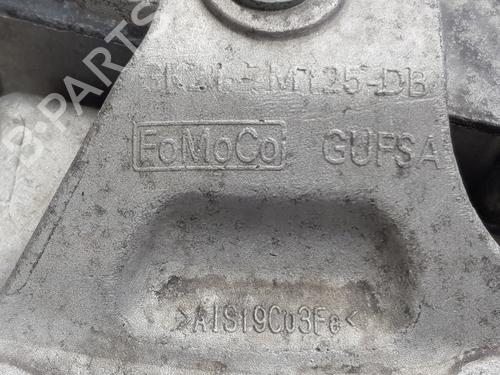 Gearbox FORD TRANSIT V363 Platform/Chassis (FED, FFD) 2.0 EcoBlue | BP31840494M3 