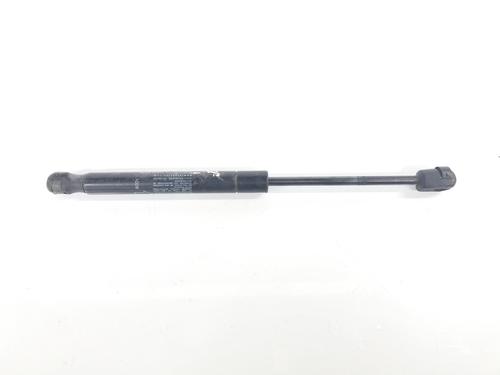 Hood lift support LAND ROVER RANGE ROVER EVOQUE (L538) 2.0 4x4 | BP14091686C139 