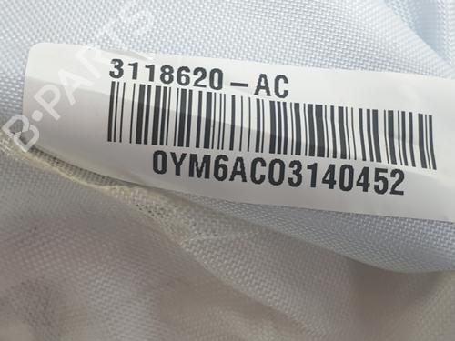 Left curtain airbag SEAT ATECA (KH7, KHP)  | BP29183677C11 