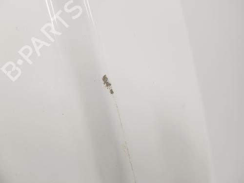 Right rear door RENAULT TRAFIC III Van (FG_) 1.6 dCi 90 (FGME) | BP16198308C5