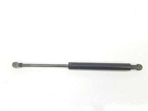 Used Hood lift support BMW 3 (E46) 320 d (150 hp) 14093996