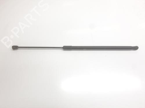 tailgate-lift-support-dacia-duster-pym_-pyn_-2023-34698778 main image