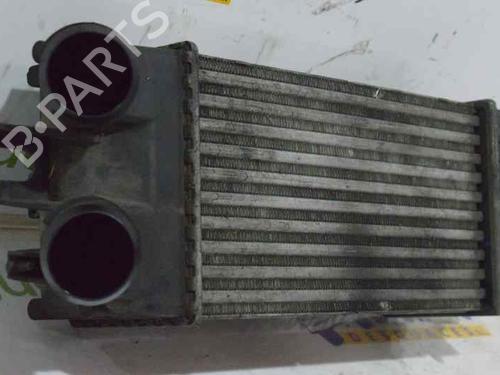 Intercooler CITROËN XSARA PICASSO (N68) 1.6 HDi | BP799830M30 