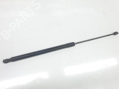 Gassdemper Bakluke FORD KUGA I 2.0 TDCi (136 hp) 18781516