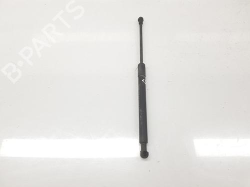 Tailgate lift support BMW 3 Touring (E91) 320 d | BP14098873C138 