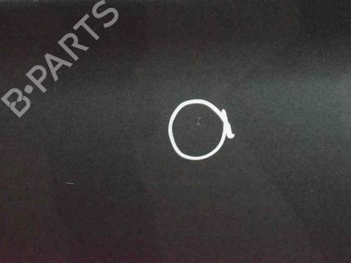 Left front door CHRYSLER VOYAGER IV (RG, RS) 2.5 CRD | BP1568993C2 