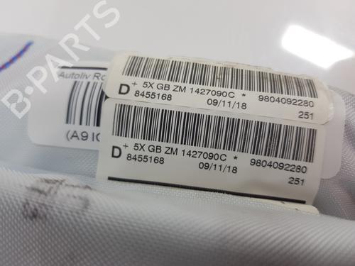 Right curtain airbag PEUGEOT 2008 I (CU_) 1.5 BlueHDI 120 | BP29755275C12 