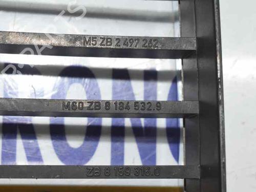 Grille BMW 5 (E39) 530 d | BP14121999C40 
