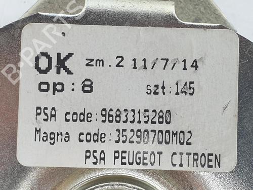 Tailgate lift support PEUGEOT 3008 I MPV (0U_) 1.6 HDi | BP14096913C138 