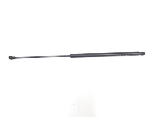 Used Tailgate lift support RENAULT KOLEOS I (HY_) 2.0 dCi 4x4 (HY0K) (150 hp) 14100160