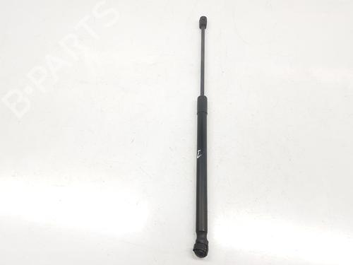Hood lift support AUDI Q7 (4LB) 4.2 TDI quattro | BP14098390C139 
