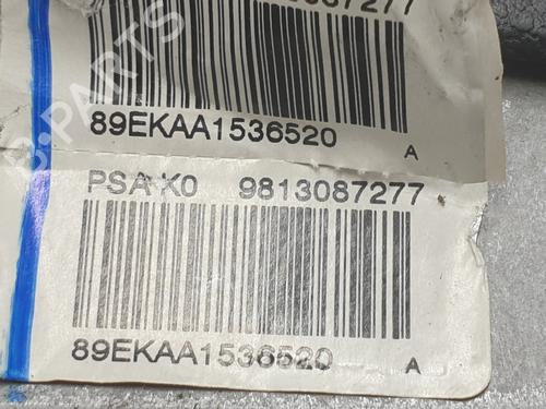 Hand brake CITROËN JUMPY III Van (V_) | BP31991942I18