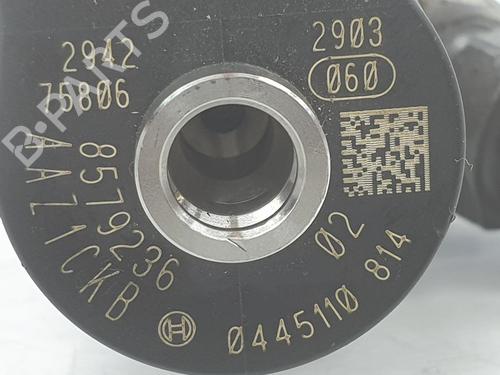 Injector BMW X2 (F39) xDrive 20 d | BP10257892M100 
