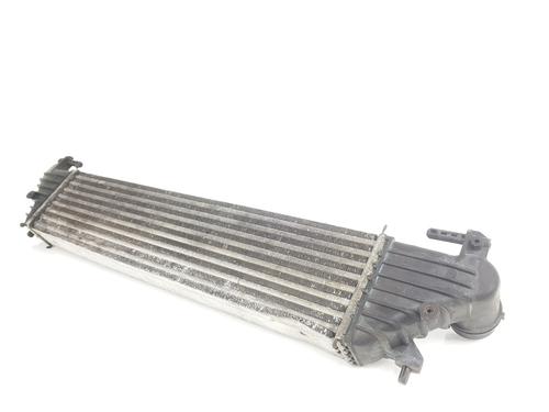Intercooler FIAT TIPO Hatchback (356_, 357_) 1.6 D (356HXG1B, 356HXG11) | BP31909336M30 
