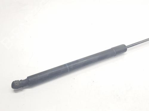 Tailgate lift support AUDI Q7 (4LB) 3.0 TDI quattro | BP16675296C138 
