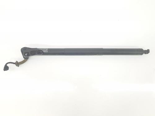 Tailgate lift support BMW X1 (F48) xDrive 18 d | BP14100511C138 
