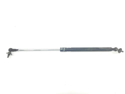 Used Hood lift support TOYOTA LAND CRUISER PRADO (_J12_) 3.0 D-4D (KDJ120, KDJ125) (166 hp) 15769019