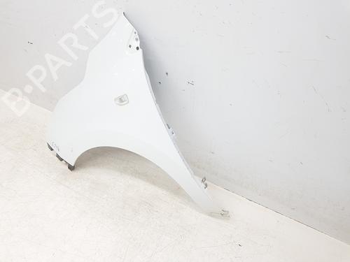 Guarda-lamas esquerdo RENAULT EXPRESS Box Body/MPV 1.5 Blue dCi 95 (F6AB) | BP32208677C41