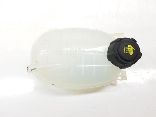 expansion-tank-renault-arkana-i-lcm_-ldn_-2019-35765034 main image