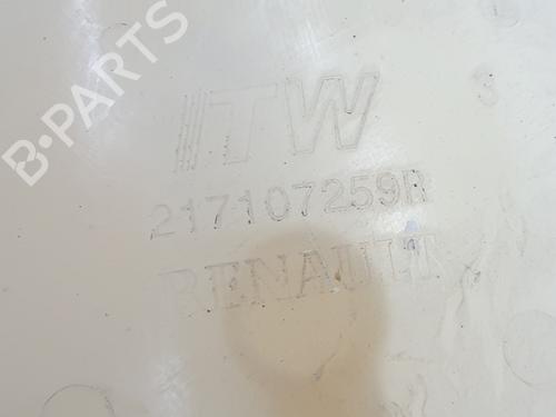 Expansion tank DACIA SANDERO II  | BP29617022C120 