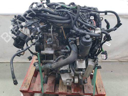 Engine BMW X4 (G02, F98) xDrive 20 d | BP39993544M1 - Image 8
