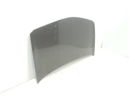 Hood RENAULT MEGANE II (BM0/1_, CM0/1_) 2.0 16V (BM0U, CM0U) | BP16030495C1 